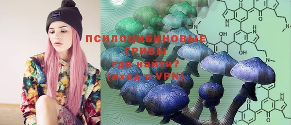 стафф Протвино