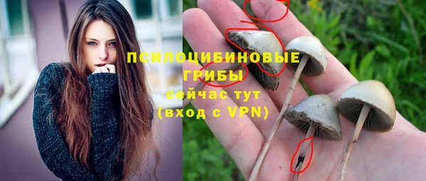 стафф Протвино